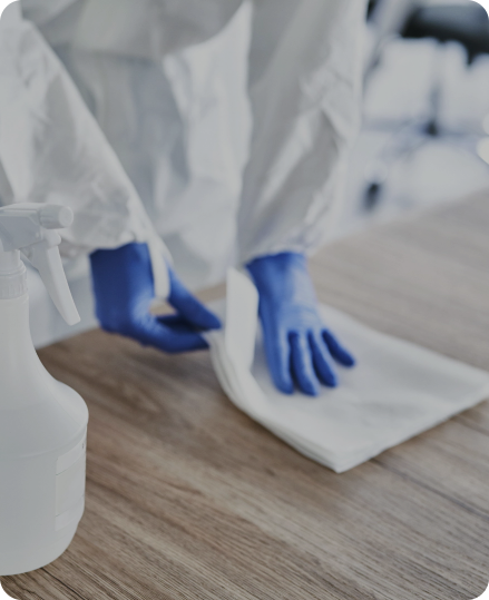 Higiene e Limpeza
